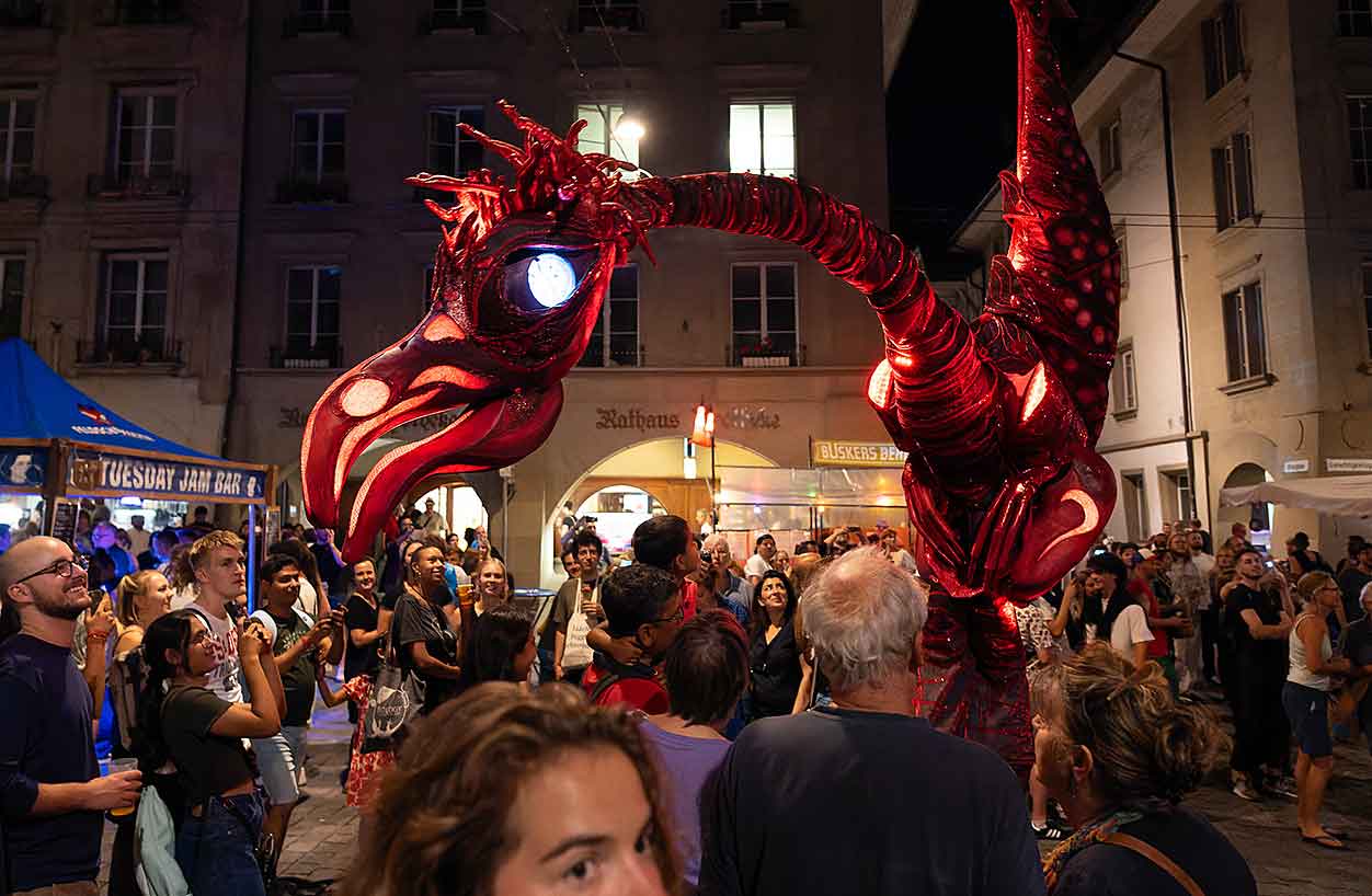 Buskers Bern Vogel