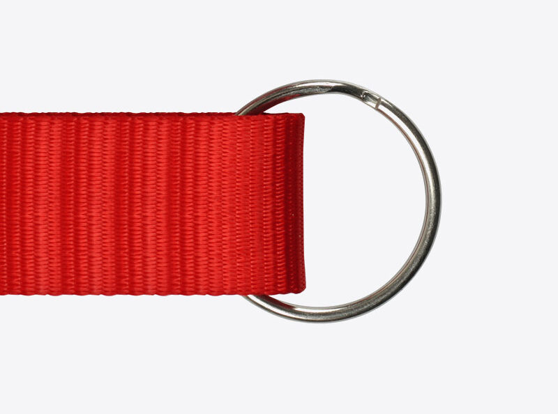 lanyard schluesselanhaenger karabiner ring