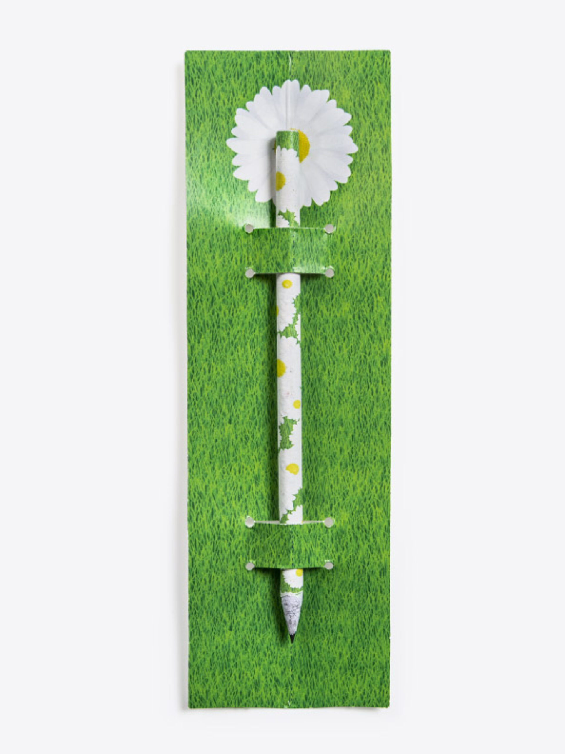 Samen Bleistift Mit Logo Bedrucken Werbegeschenk Vorne